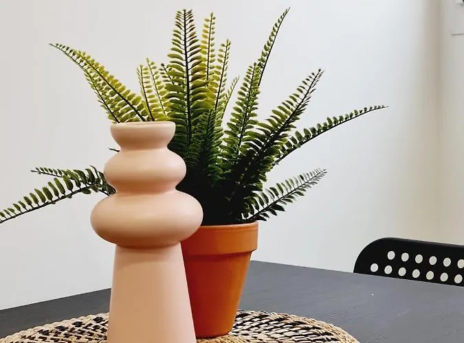 Zorroza アパート *